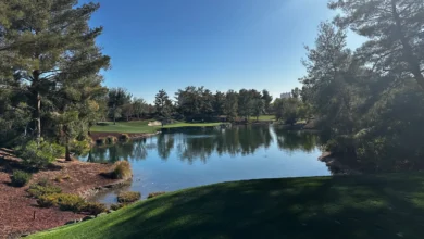 Wynn golf