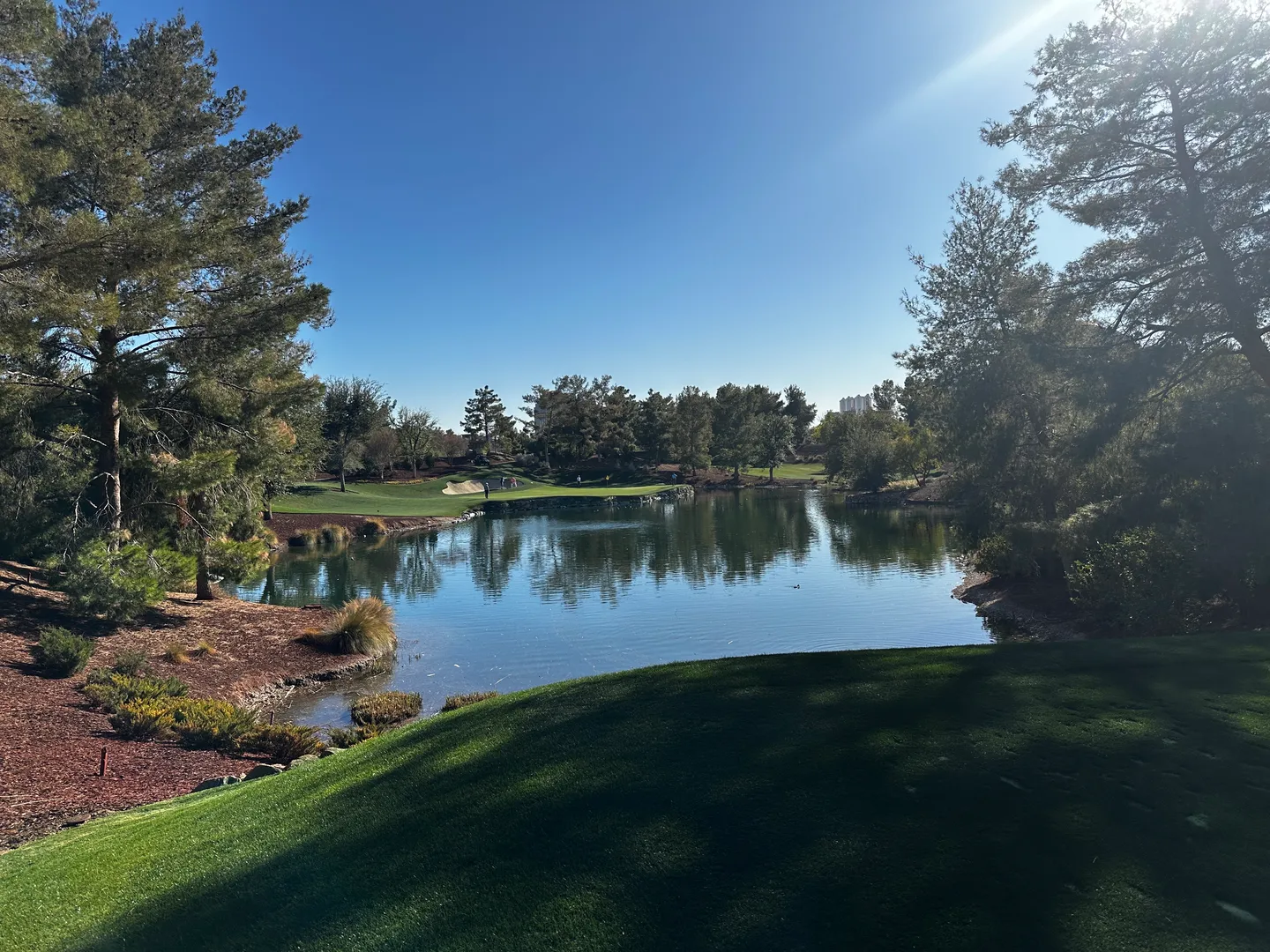 Wynn golf