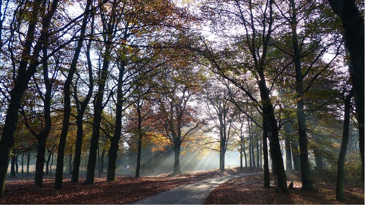 Gran Fondo Veluwe 2025