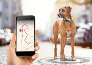 de locatie van uw huisdier in de gaten