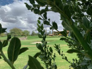 Real Club de Golf de Sevilla