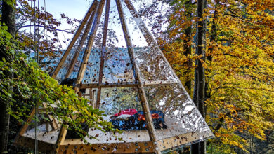 zwarte woud duitsland