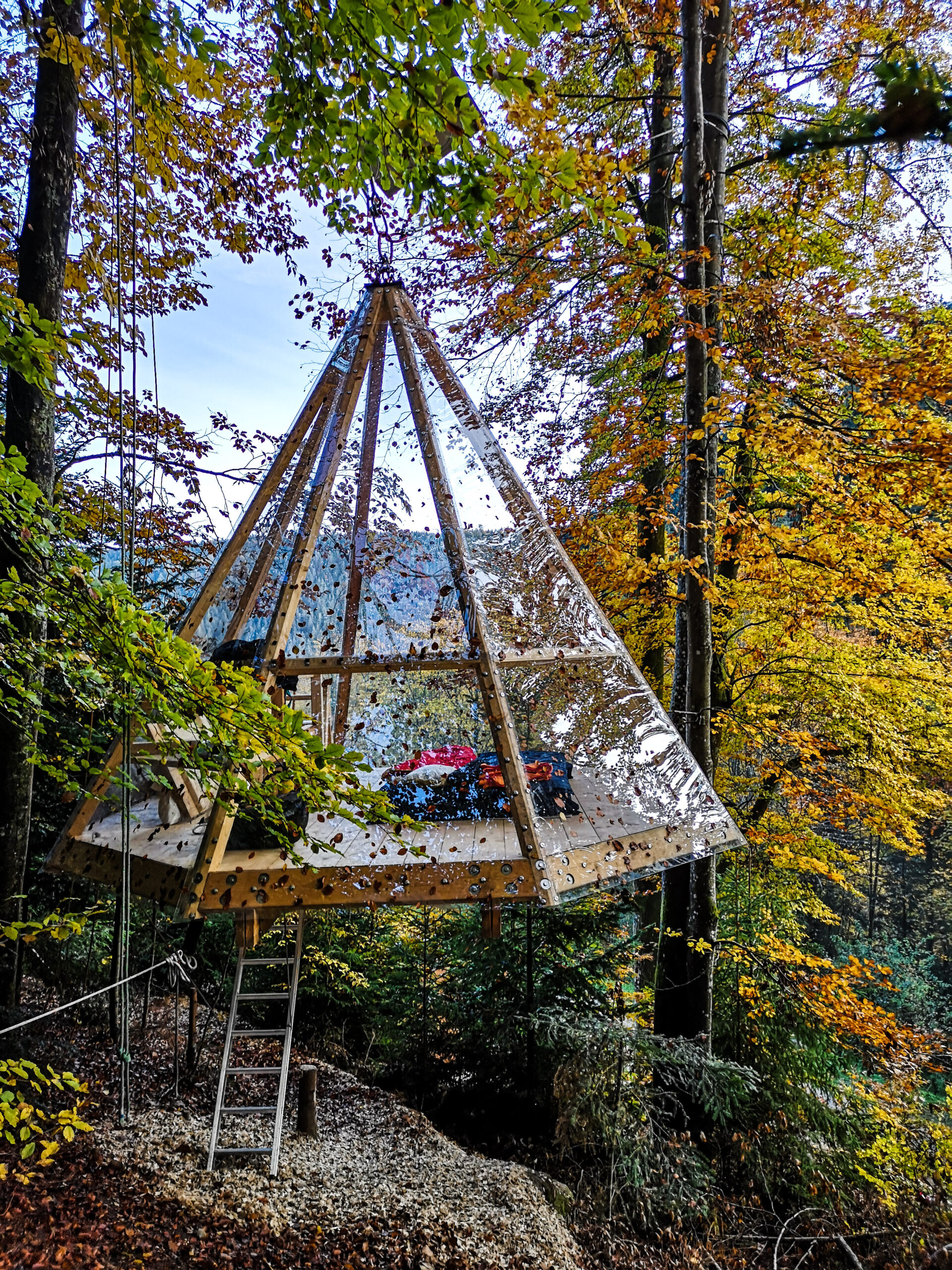 zwarte woud duitsland