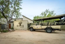 The Baobab Bush Lodge, Zuid-Afrika safari, luxe safari lodge, Kruger National Park, Big 5 safari, Hoedspruit, Afrikaanse wildernis, wildlife lodge, safari ervaringen, giraffen bij zwembad, Quad Bike Safari, Mountainbike Safari, Bush Lunch, Braai, Pizza Experience, safari suites, romantische safari, gezinsvakantie Zuid-Afrika, natuurbeleving, avontuurlijke vakantie