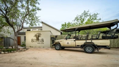 The Baobab Bush Lodge, Zuid-Afrika safari, luxe safari lodge, Kruger National Park, Big 5 safari, Hoedspruit, Afrikaanse wildernis, wildlife lodge, safari ervaringen, giraffen bij zwembad, Quad Bike Safari, Mountainbike Safari, Bush Lunch, Braai, Pizza Experience, safari suites, romantische safari, gezinsvakantie Zuid-Afrika, natuurbeleving, avontuurlijke vakantie