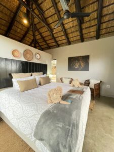 The Baobab Bush Lodge, Zuid-Afrika safari, luxe safari lodge, Kruger National Park, Big 5 safari, Hoedspruit, Afrikaanse wildernis, wildlife lodge, safari ervaringen, giraffen bij zwembad, Quad Bike Safari, Mountainbike Safari, Bush Lunch, Braai, Pizza Experience, safari suites, romantische safari, gezinsvakantie Zuid-Afrika, natuurbeleving, avontuurlijke vakantie