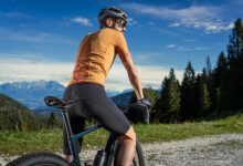 Elastic Interface®: