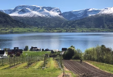 Nordfjord Distillery field